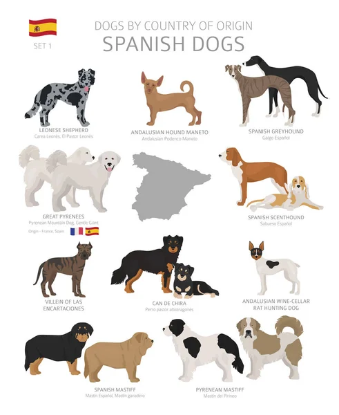 原産国別の犬。スペインの犬の品種。羊飼い,ハンティン — ストックベクタ