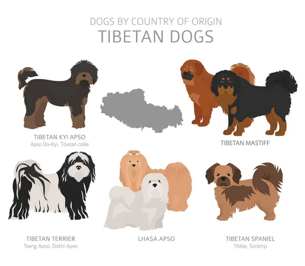 Psy według kraju pochodzenia. Rasy psów tybetańskich. Pasterze, huntin — Wektor stockowy