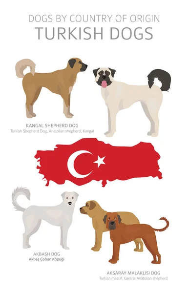 狗按来源国分列。土耳其狗品种。牧羊人， 猎头 — 图库矢量图片