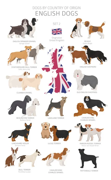 Menşe ülkeye göre köpekler. İngiliz köpek ırkları. Çobanlar, av