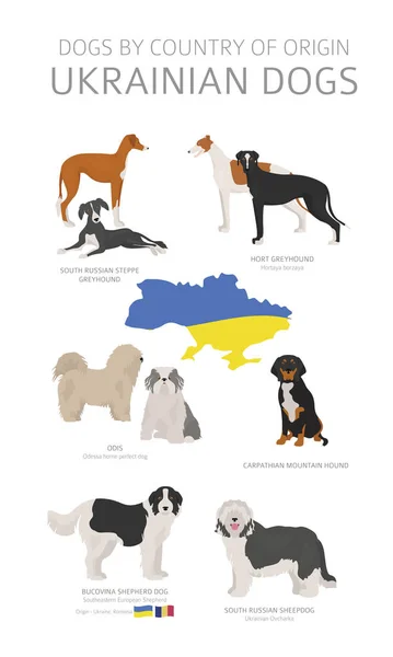 Dogs by country of origin. Ukrainian dog breeds. Shepherds, hunt — Stock Vector