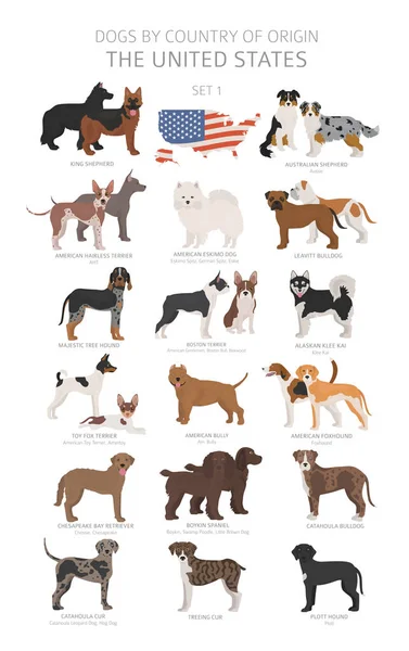 Dogs by country of origin. Dog breeds from the United states of — Stock Vector