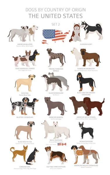 Dogs by country of origin. Dog breeds from the United states of — Stock Vector