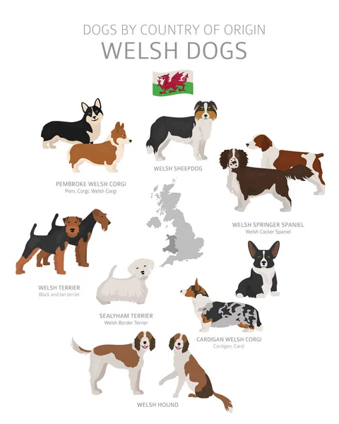 Psy według kraju pochodzenia. Rasy psów w Walii. Pasterze, polowanie, — Wektor stockowy
