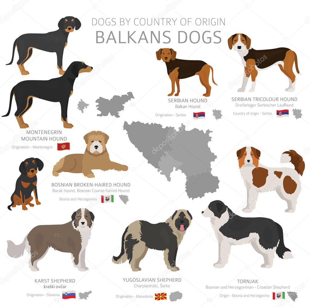 Dogs by country of origin. Balkans dog breeds. Shepherds, huntin