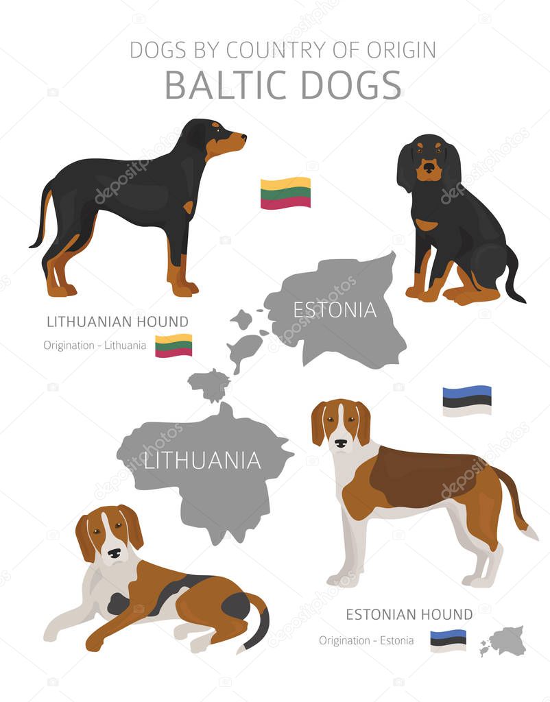 Dogs by country of origin. Baltic dog breeds. Shepherds, hunting