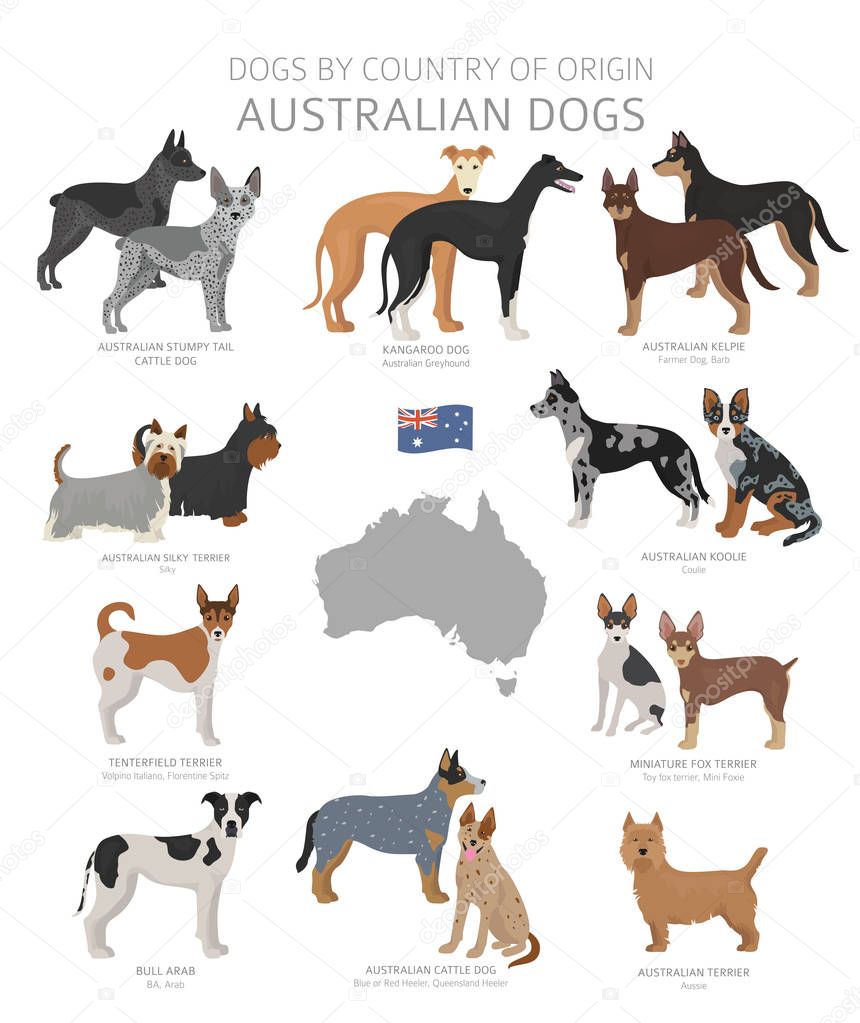 Dogs by country of origin. Australian dog breeds. Shepherds, hun