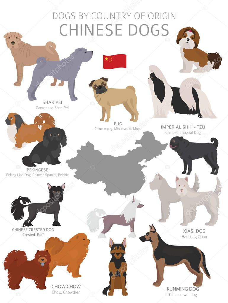 Dogs by country of origin. Chinese dog breeds. Shepherds, huntin