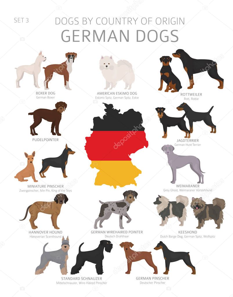 Dogs by country of origin. German dog breeds. Shepherds, hunting