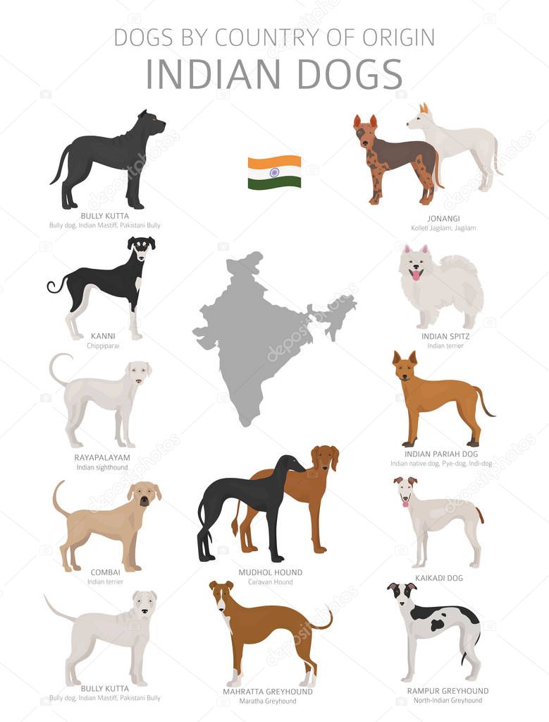 Dogs by country of origin. Indian dog breeds. Shepherds, hunting