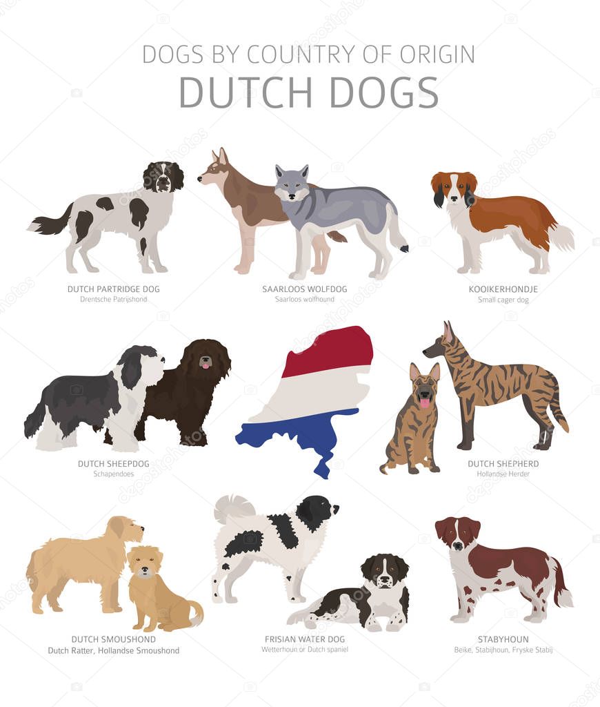 Dogs by country of origin. Dutch dog breeds. Shepherds, hunting,