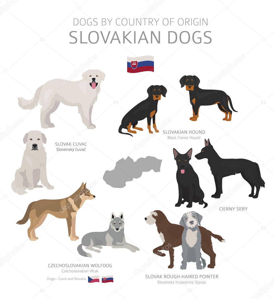 Dogs by country of origin. Slovakian dog breeds. Shepherds, hunt