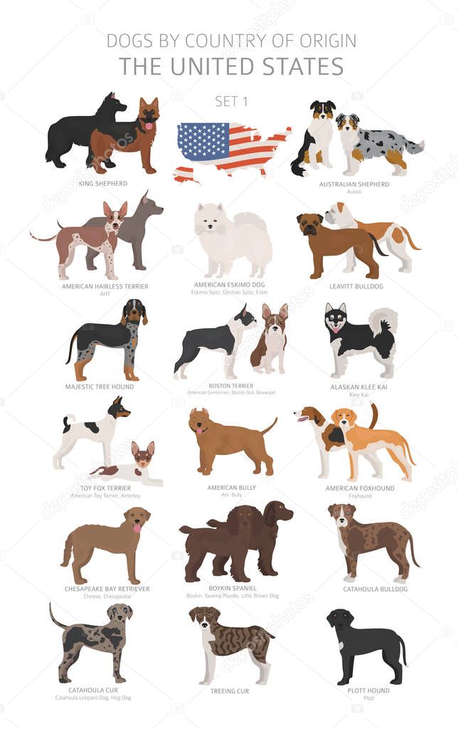 Dogs by country of origin. Dog breeds from the United states of 