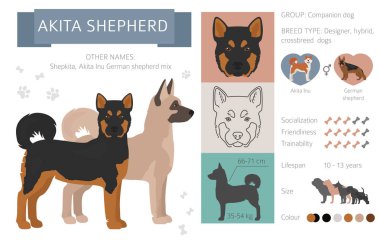 Tasarımcı köpekler, crossbreed, hibrid mix pooches toplama izole