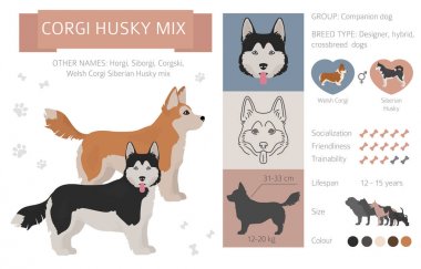 Tasarımcı köpekler, crossbreed, hibrid mix pooches toplama izole