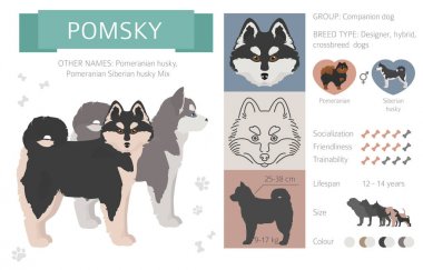 Tasarımcı köpekler, crossbreed, hibrid mix pooches toplama izole