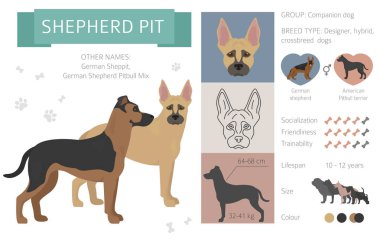 Tasarımcı köpekler, crossbreed, hibrid mix pooches toplama izole