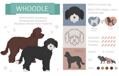 Tasarımcı köpekler, crossbreed, hibrid mix pooches toplama izole