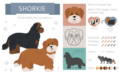 Tasarımcı, crossbreed, hibrid mix köpek koleksiyonu whi izole