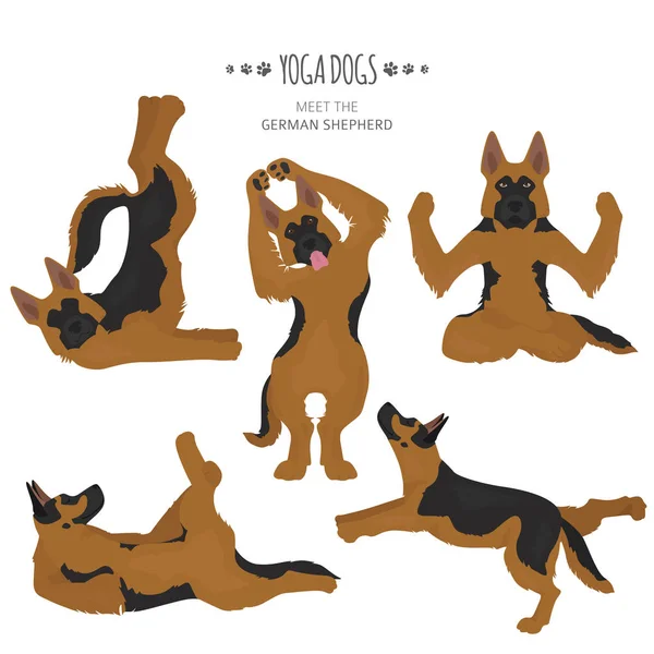 Yoga dogs poses and exercises. German shepherd clipart — 스톡 벡터