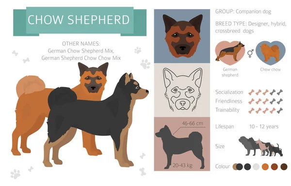 Designer honden, crossbreed, hybride mix Pooches collectie isoleren — Stockvector