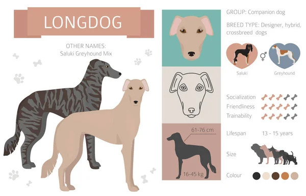 Diseñador perros, mestizo, híbrido mezcla pooches colección aislar — Archivo Imágenes Vectoriales