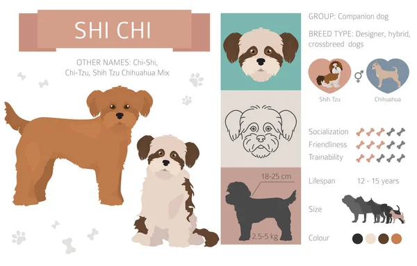 Diseñador perros, mestizo, híbrido mezcla pooches colección aislar — Archivo Imágenes Vectoriales