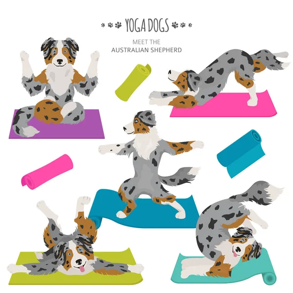 Yoga dogs poses and exercises. Australian shepherd clipart — 스톡 벡터