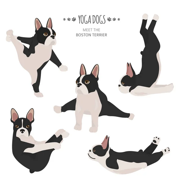 Cães de ioga poses e exercícios. Clipart bulldog francês — Vetor de Stock