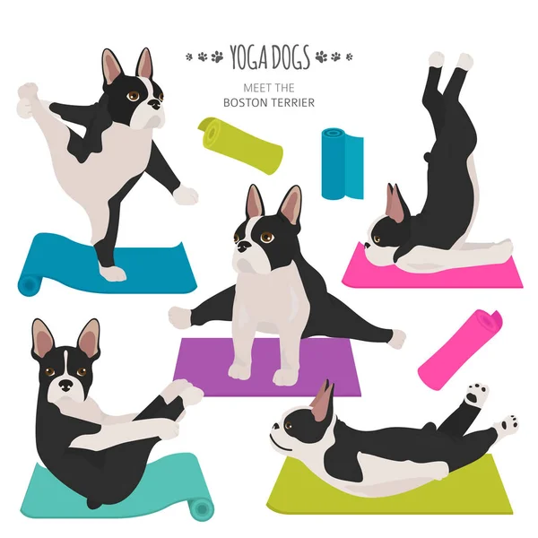 Cães de ioga poses e exercícios. Clipart bulldog francês — Vetor de Stock