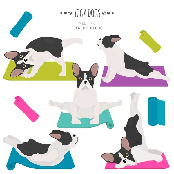 Yoga dogs poses and exercises. French bulldog clipart — Stok Vektör