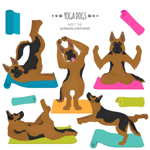 Perros de yoga poses y ejercicios. Pastor alemán clipart — Archivo Imágenes Vectoriales