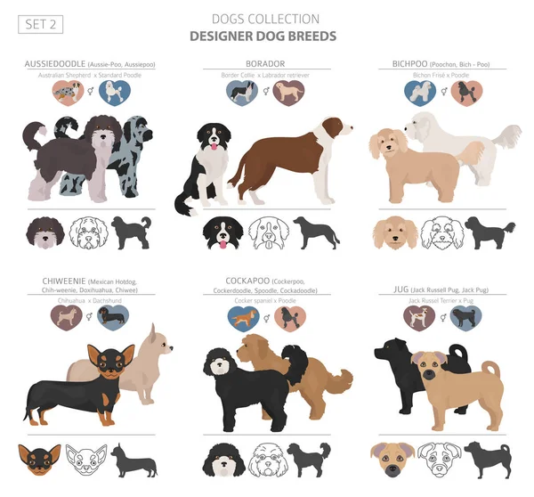 Designer dogs, crossbreed, hybrid mix pooches collection isolate — Stock Vector