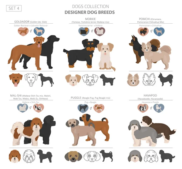 Diseñador perros, mestizo, híbrido mezcla pooches colección aislar — Vector de stock