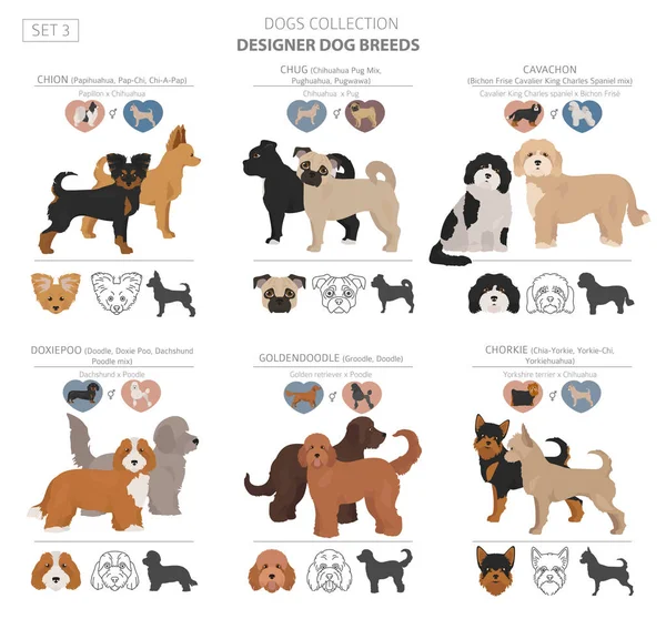 Designer dogs, crossbreed, hybrid mix pooches collection isolate — Stock Vector