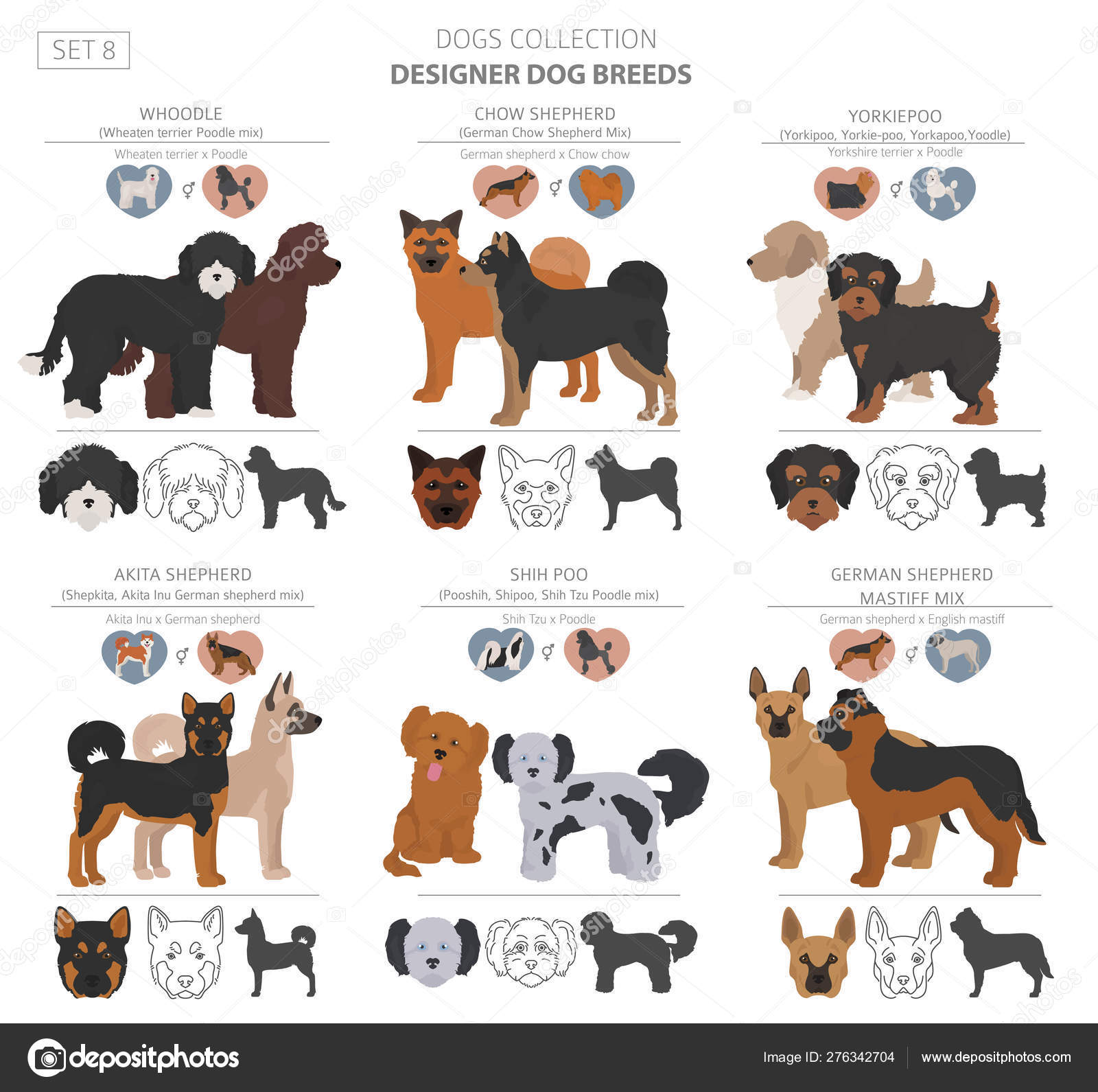 Designer dogs, crossbreed, hybrid isolate Stock Vector Image by ©A7880S #276342704