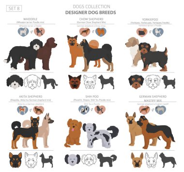 Tasarımcı köpekler, crossbreed, hibrid mix pooches toplama izole