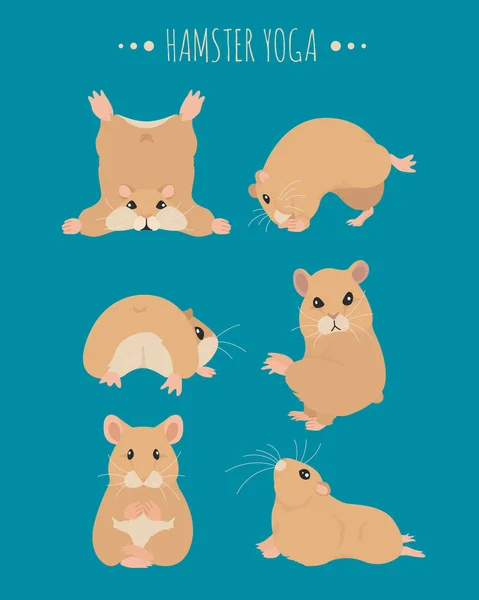 Hamsters yoga pozlar ve egzersizler. Sevimli karikatür clipart seti. — Stok Vektör