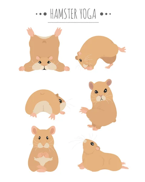 Hamsters yoga poses and exercises. Cute cartoon clipart set. — Stock Vector