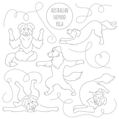 Yoga dogs poses and exercises. Australian shepherd clipart