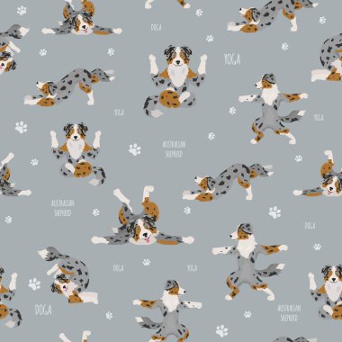 Yoga dogs poses and exercises. Australian shepherd seamless patt