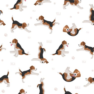 Yoga dogs poses and exercises. Beagle seamless pattern