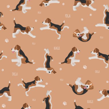 Yoga dogs poses and exercises. Beagle seamless pattern