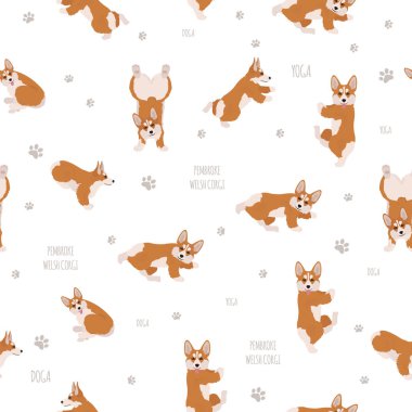 Yoga dogs poses and exercises. Welsh corgi pembroke seamless pat