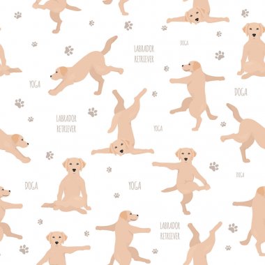 Yoga dogs poses and exercises. Labrador retriever seamless patte