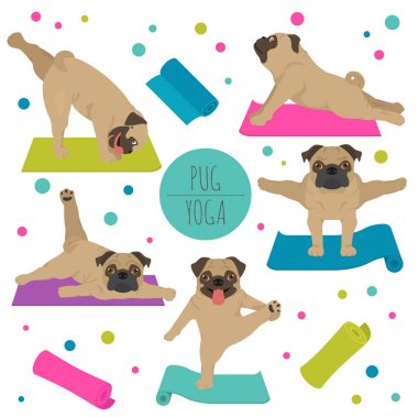Yoga dogs poses and exercises. Pug clipart
