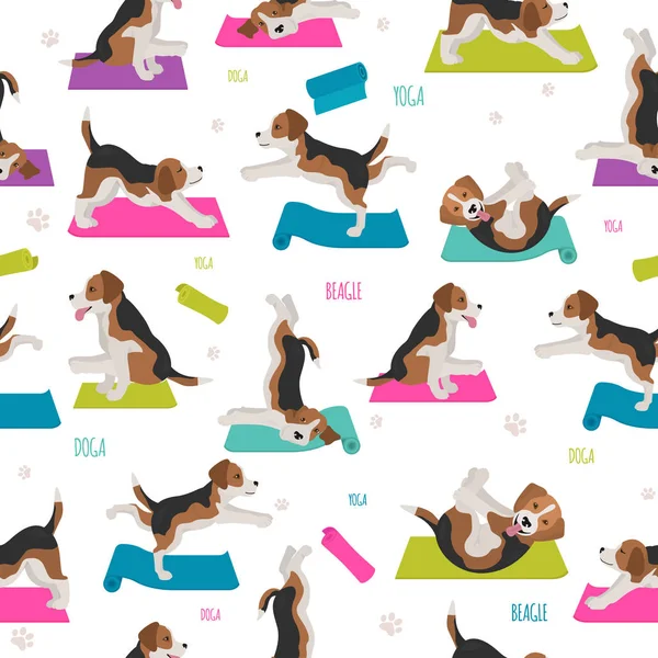 Cães de ioga poses e exercícios. Padrão sem emenda Beagle — Vetor de Stock