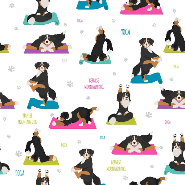 Yoga-Hunde posieren und üben. Berner Sennenhund nahtlos tätscheln — Stockvektor