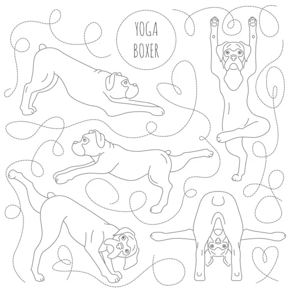 Cães de ioga poses e exercícios. Boxer clipart cão — Vetor de Stock