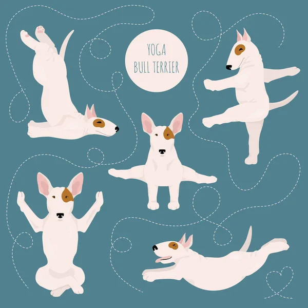 Yoga-Hunde posieren und üben. Bullterrier-Cliparts — Stockvektor